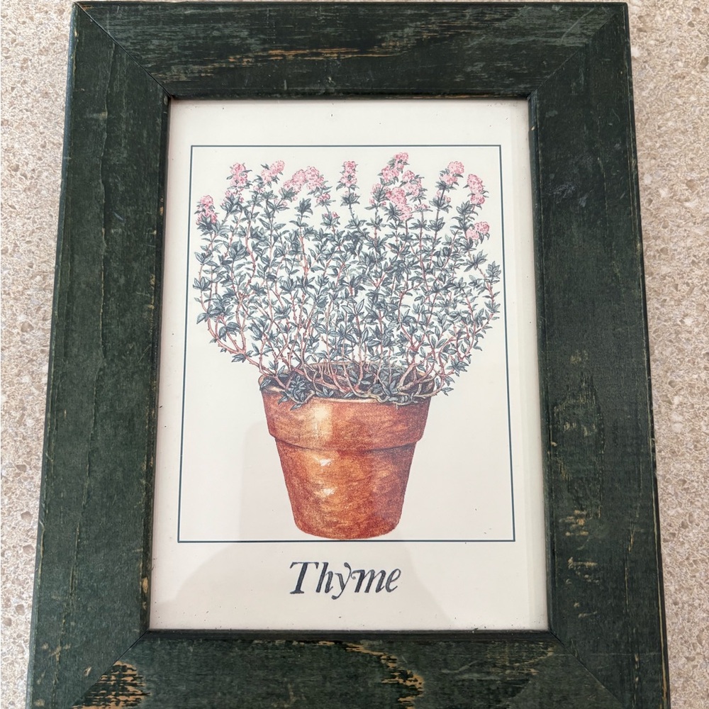 Vintage Thyme Botanical Art Print - Distressed Green Wooden Framed Herb Picture - Picture 4 of 4